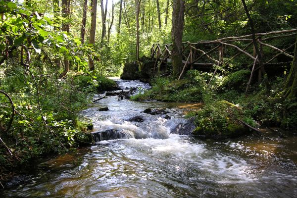 Perła Roztocza - rezerwat Czartowe Pole