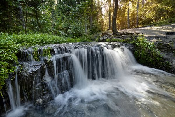 Wodospad na potoku Jeleń na Roztoczu